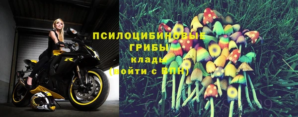 мяу мяу мука Аркадак