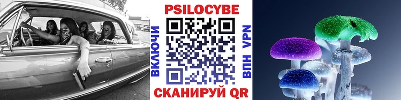 сколько стоит Новый Оскол Галлюциногенные грибы MAGIC MUSHROOMS